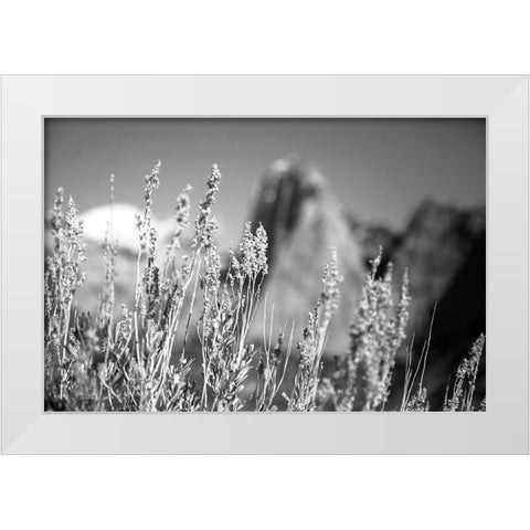 Canyon Sagebrush White Modern Wood Framed Art Print by Marshall, Laura