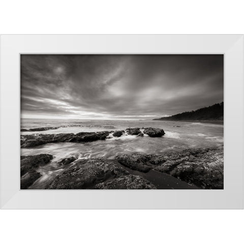 Kalaloch Beach White Modern Wood Framed Art Print by Majchrowicz, Alan