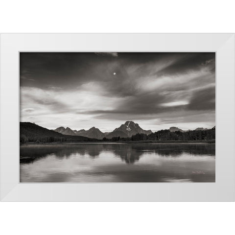 Oxbow Bend White Modern Wood Framed Art Print by Majchrowicz, Alan