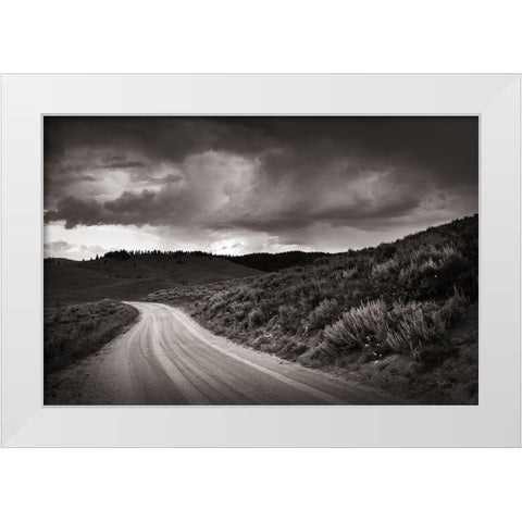 Stanley Basin Road White Modern Wood Framed Art Print by Majchrowicz, Alan
