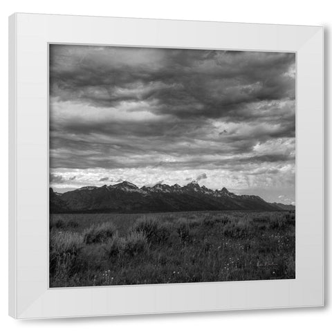 Grand Tetons II White Modern Wood Framed Art Print by Eichman, Andre