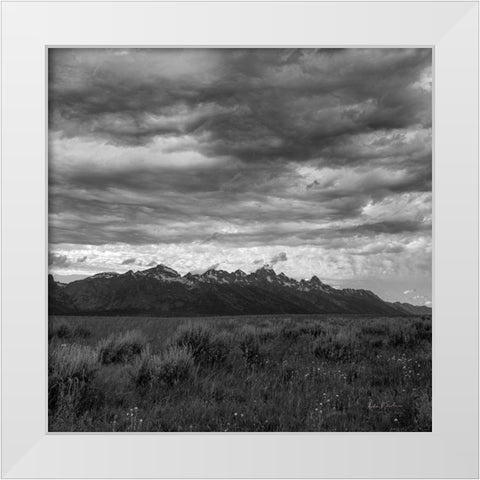 Grand Tetons II White Modern Wood Framed Art Print by Eichman, Andre
