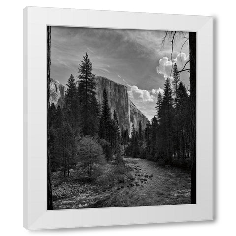 Yosemite II White Modern Wood Framed Art Print by Eichman, Andre