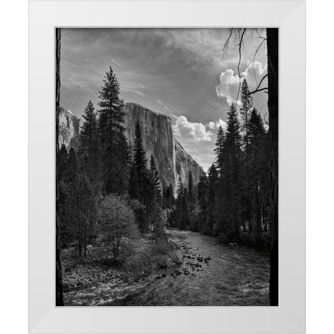 Yosemite II White Modern Wood Framed Art Print by Eichman, Andre