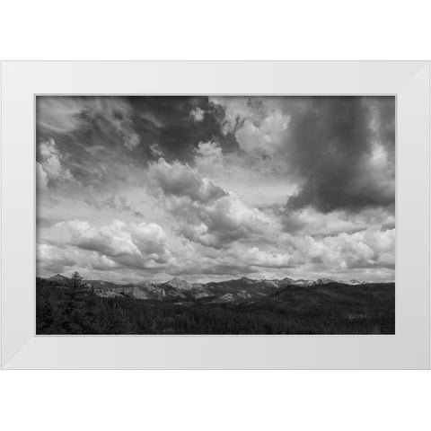 Yosemite V White Modern Wood Framed Art Print by Eichman, Andre