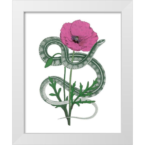 Natural Beauty I Pink Flower White Modern Wood Framed Art Print by Wild Apple Portfolio