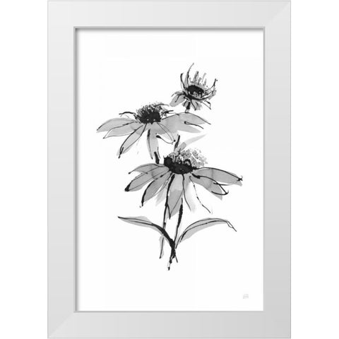 Wash Echinacea II White Modern Wood Framed Art Print by Paschke, Chris