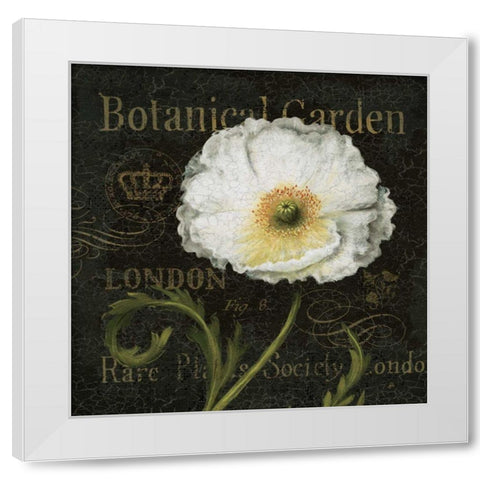 Botanical Garden II White Modern Wood Framed Art Print by Brissonnet, Daphne