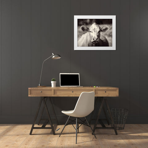 Pasture Cow White Modern Wood Framed Art Print by Van Swearingen, Debra