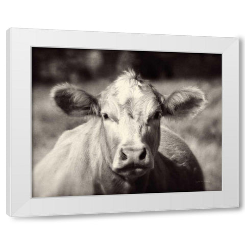 Pasture Cow White Modern Wood Framed Art Print by Van Swearingen, Debra