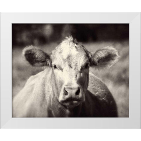 Pasture Cow White Modern Wood Framed Art Print by Van Swearingen, Debra