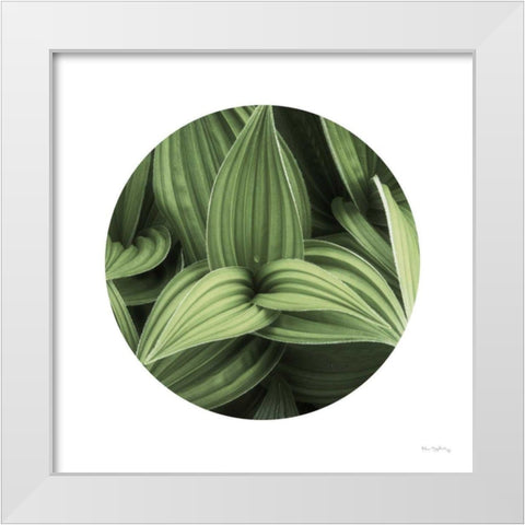 Corn Lily Circle I White Modern Wood Framed Art Print by Majchrowicz, Alan