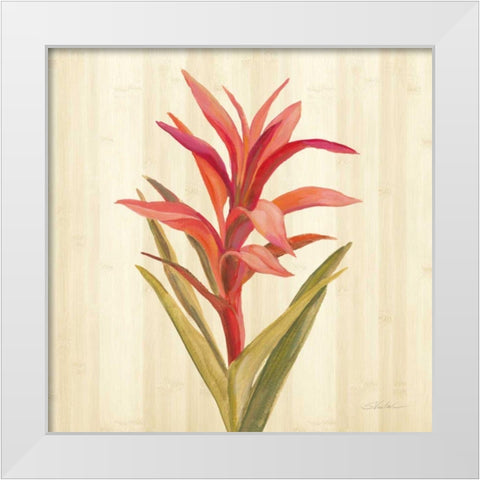 Tropical Garden III White Modern Wood Framed Art Print by Vassileva, Silvia