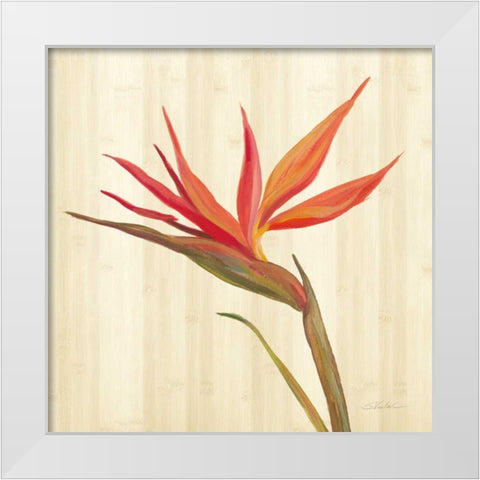 Tropical Garden IV White Modern Wood Framed Art Print by Vassileva, Silvia