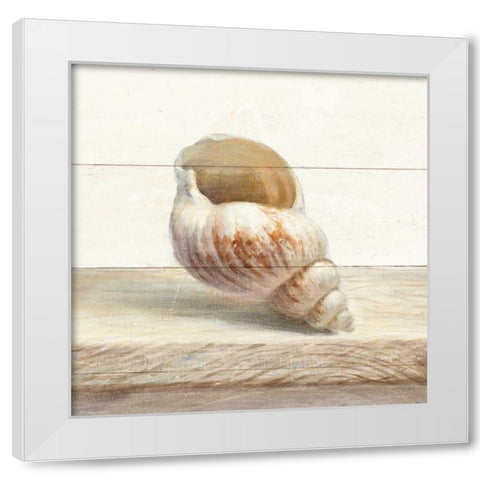 Driftwood Shell I White Modern Wood Framed Art Print by Nai, Danhui