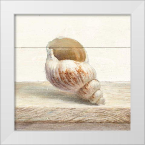 Driftwood Shell I White Modern Wood Framed Art Print by Nai, Danhui