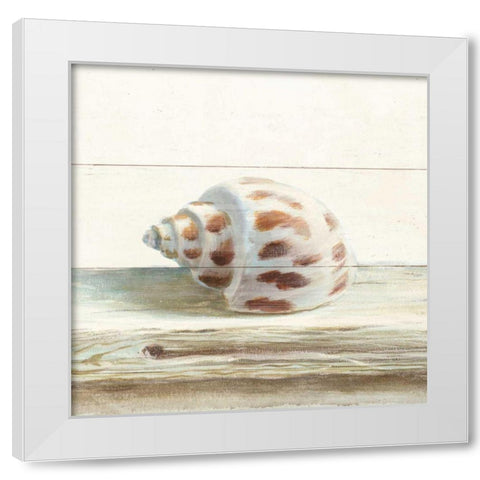 Driftwood Shell II White Modern Wood Framed Art Print by Nai, Danhui