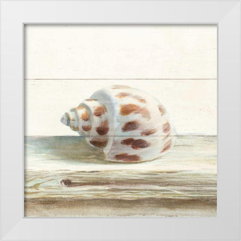 Driftwood Shell II White Modern Wood Framed Art Print by Nai, Danhui