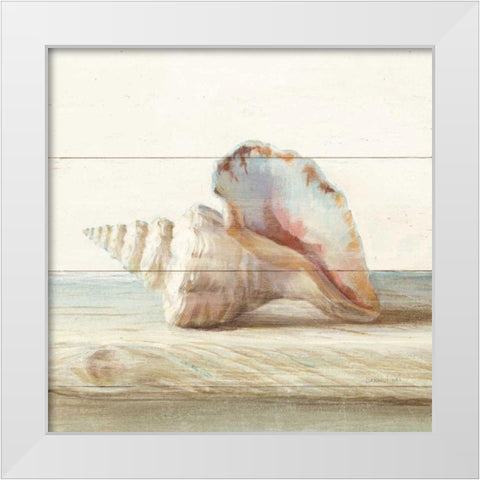 Driftwood Shell IV White Modern Wood Framed Art Print by Nai, Danhui