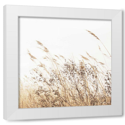 Autumn Grasses Crop White Modern Wood Framed Art Print by Studio, Brookview