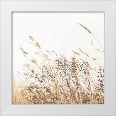 Autumn Grasses Crop White Modern Wood Framed Art Print by Studio, Brookview