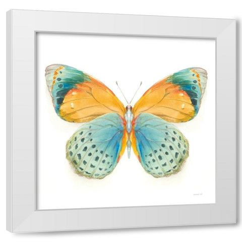 Fragile Wings Butterfly I White Modern Wood Framed Art Print by Nai, Danhui