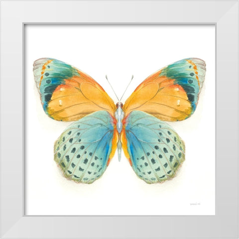 Fragile Wings Butterfly I White Modern Wood Framed Art Print by Nai, Danhui