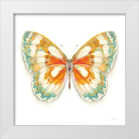 Fragile Wings Butterfly II White Modern Wood Framed Art Print by Nai, Danhui