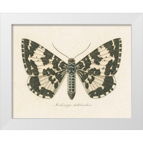 Natures Butterfly II White Modern Wood Framed Art Print by Wild Apple Portfolio