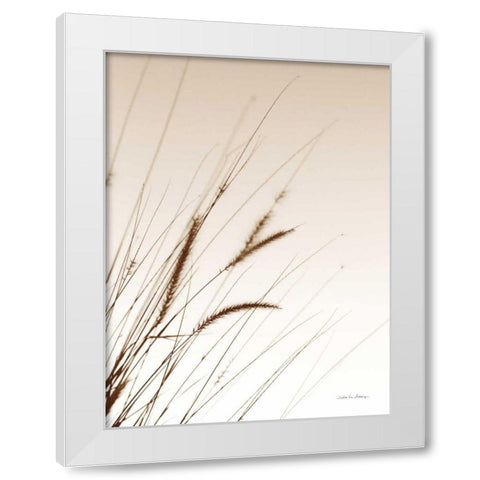 Field Grasses I Sepia White Modern Wood Framed Art Print by Van Swearingen, Debra