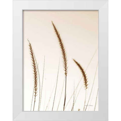 Field Grasses IV Sepia White Modern Wood Framed Art Print by Van Swearingen, Debra