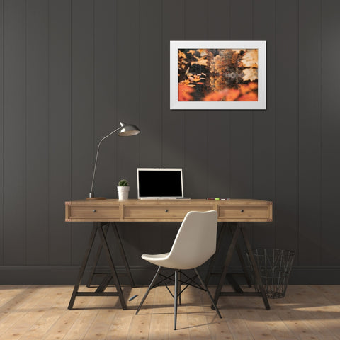 Autumn Reflections White Modern Wood Framed Art Print by Marshall, Laura