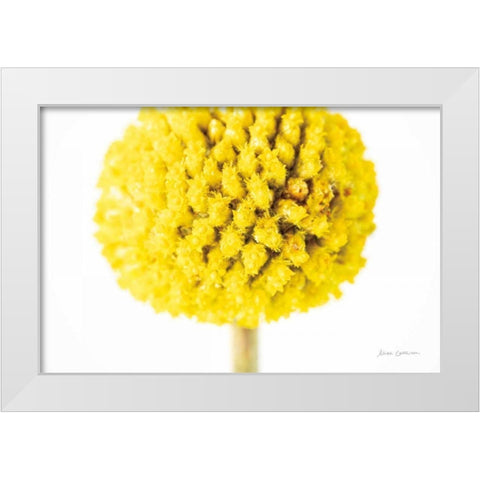 Craspedia IV White Modern Wood Framed Art Print by Catterall, Elise