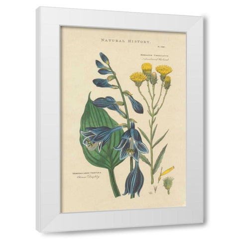 Botanical Print I White Modern Wood Framed Art Print by Wild Apple Portfolio