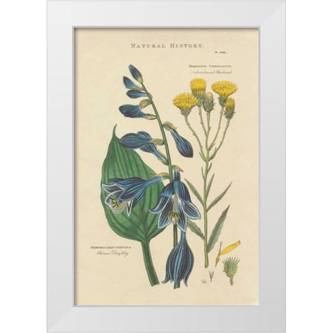 Botanical Print I White Modern Wood Framed Art Print by Wild Apple Portfolio