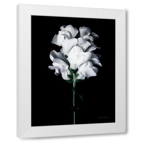 White Snapdragon White Modern Wood Framed Art Print by Catterall, Elise