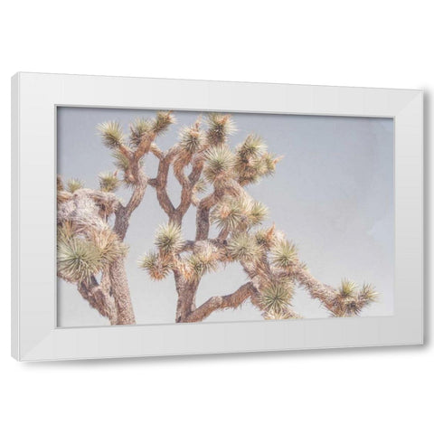 Desert Floral I White Modern Wood Framed Art Print by Urquhart, Elizabeth