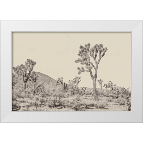 Joshua Tree II Neutral White Modern Wood Framed Art Print by Urquhart, Elizabeth