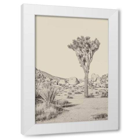 Joshua Tree III Neutral White Modern Wood Framed Art Print by Urquhart, Elizabeth