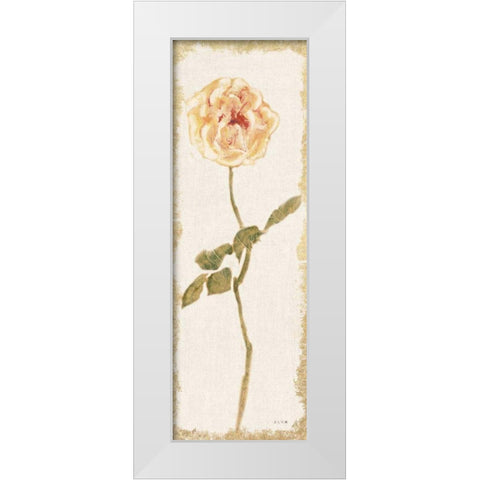 Pale Rose Panel Light White Modern Wood Framed Art Print by Blum, Cheri