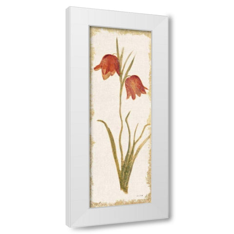 Red Tulip Panel Light White Modern Wood Framed Art Print by Blum, Cheri
