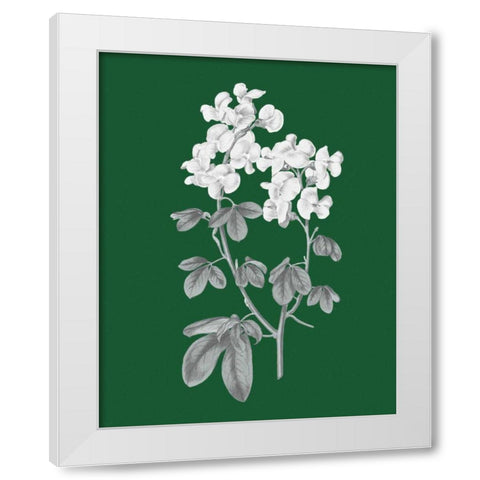 Green Botanical III White Modern Wood Framed Art Print by Wild Apple Portfolio