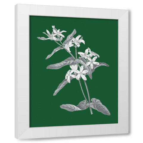 Green Botanical IV White Modern Wood Framed Art Print by Wild Apple Portfolio