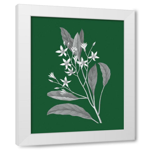Green Botanical V White Modern Wood Framed Art Print by Wild Apple Portfolio