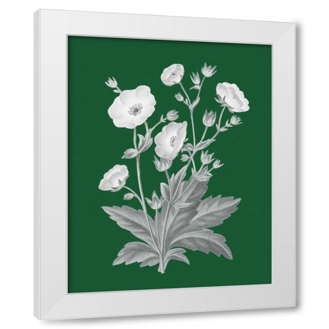 Green Botanical VI White Modern Wood Framed Art Print by Wild Apple Portfolio
