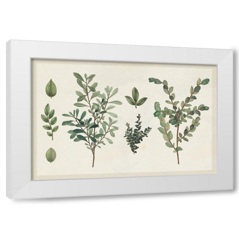 Victorian Garden Chart I White Modern Wood Framed Art Print by Wild Apple Portfolio