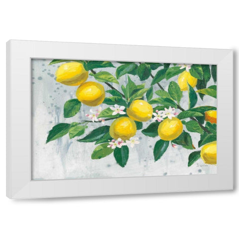 Zesty Lemons White Modern Wood Framed Art Print by Wiens, James