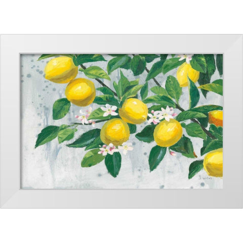 Zesty Lemons White Modern Wood Framed Art Print by Wiens, James