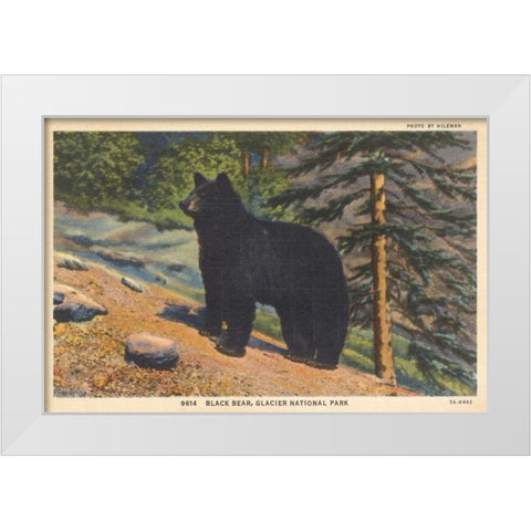 Black Bear I Crop White Modern Wood Framed Art Print by Wild Apple Portfolio