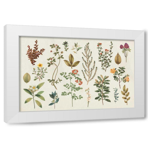 Victorian Garden III Autumn White Modern Wood Framed Art Print by Wild Apple Portfolio